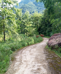 ͨ����Ϫ��·�������ɾ��̵�