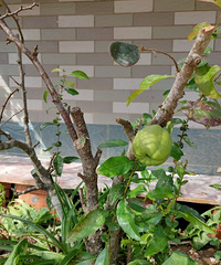 �滹�Ƿ��ֹϣ����񶼲��ǰ�