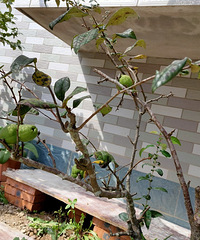 �滹�Ƿ��ֹϣ����񶼲��ǰ�