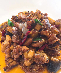 ���������ƻ��գ����̴����˱ǵĴ׳�����θ�ֽ���