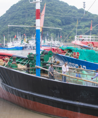 8��1���𣬶����ġ�Ϻ��з��������Ҫ����