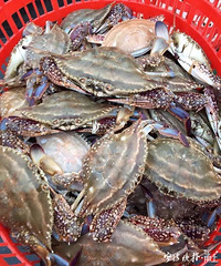 8��1���𣬶����ġ�Ϻ��з��������Ҫ����