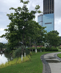 �۸��࣬ƽʱ��ϲ���乫԰��