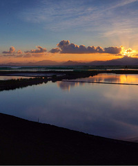 �����뷽�º������ĵ�Ѥ������������ϼ