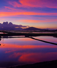 �����뷽�º������ĵ�Ѥ������������ϼ