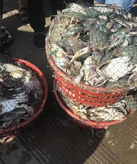 ��һ������з���˱��з�࣬�̷�������סһ�𲻷��֣������ҵģ�