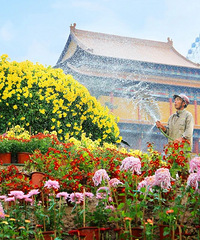 �������С�ǣ����ء����ʹ���