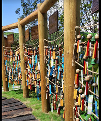 С���ӿ�������������ũ���Ļ���������ɫũ�Ҳ�