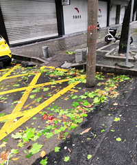 �����粻�󣬽���ȴ��Ҷ���