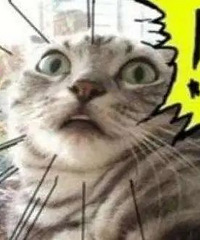 �㽭һŮ����������ͻȻ�����鴤�������벻�����ǡ�