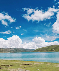 ����Ψһ�ķ�ɫ�κ����Ȳ迨��2��