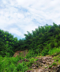 ����ǧ�����������Ͱ������ɾ���������������