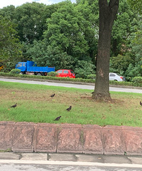 ��������ˣ�����ȫ��������