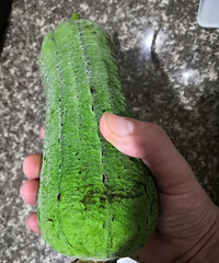 ��Ҳ��˿�ϣ����γ���������涬�ϣ���֪����ζ�����