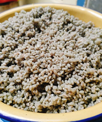 ��Ŵ�ױ�����ٱȽϷ�������������Ŵ�׷�ֱ����