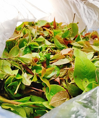 ��Ŵ�ױ�����ٱȽϷ�������������Ŵ�׷�ֱ����