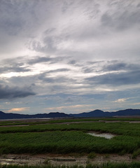 ̨�ݳ�������תһȦ����ɽ������������������