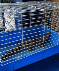 ���ˣ�һ�����������һ�����㣬��Լ50����...