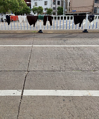 ����ɹ���·������ܴ���