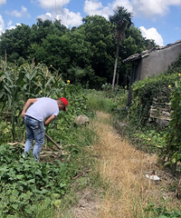 �����������ڻ���صĵ绰��