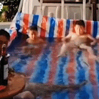 ��Ľ���Լҿ������조������Ӿ�أ����ѣ���λ�ְֹ��������ˣ�