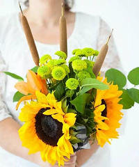 ������������ѡ����������OR��������