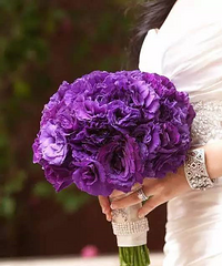 ������������ѡ����������OR��������