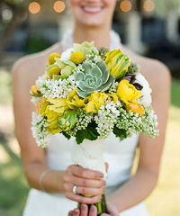 ������������ѡ����������OR��������