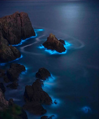 ���������������������Ǵ�µ������ᰡ��