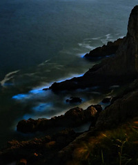 ���������������������Ǵ�µ������ᰡ��