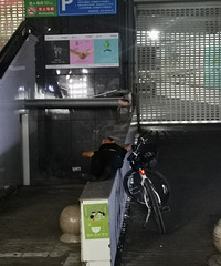 ��������������·��ĳ�˳��ſڵİ�ǽ��˯���ˣ���Σ��