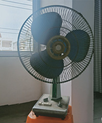 ��̨����ȿ�30�꣬û���Ᵽ����Ҳû���޹�����ľ�������