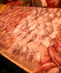 �������̨��Ӱ�죬��ſ���Ƥ�Ժ��ʵ�ʱ������û��