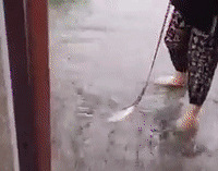 Ŀ�ɿڴ���ͻ�����꣬Ů�Ӿ��Ӳ��г����ޡ���ؼҡ�