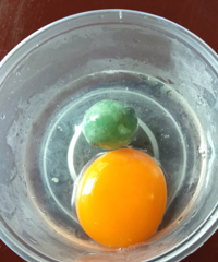 ���£����ݰ����ÿ�Ѽ�������ĳ�һ�š��̱�ʯ����ר��˵....