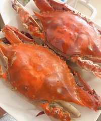 ������Ϻ������һ����ݴ����������