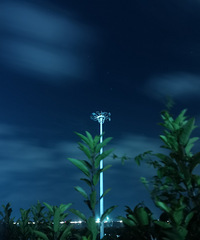 �Ҹ����������ǹ죬�������ǹ��е���