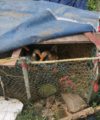 ÿ������Ϻз���д���Ѽ��ȴ����������ô���£�