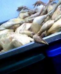 �̲���������ˣ������˳ԡ���ˮ�ˡ�����ʳ��������Ͱ���ϣ�