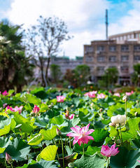 ̽��·�Ű桰���鿥�����족