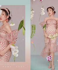 ��֮���� ��ɫ�ʽ�������Ⱦ����������