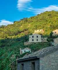 �������ɫ�þ��������ɳ��̲ʯ��Ⱥ