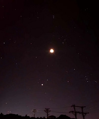 �밮����������Ϊ���������Ǽҡ�