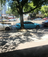 ���������ġ���һ�ų�������ɫ������