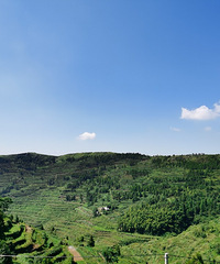 ���ﶫ�ִ�ˮ�����