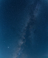 һƬδ���������˼�ʥ�أ�¶Ӫ�ճ��ǿ��ƺ�