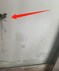 �}�ˣ�Ů�������·������ϳ������ֶ����������ֳ�