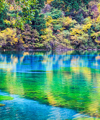 �ٹ�30�죬ȫ���綼Ҫ��Ľ���й��ˣ�