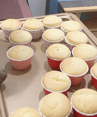 ֽ�����⣬�򵰰׺���Ҫ