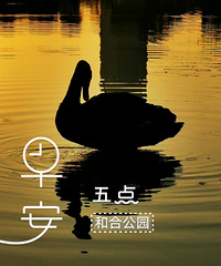 �ͺϹ�԰�Ķ죬��ˮ�к�Ư��